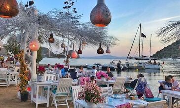 Uçaklı Badem Çiçeği